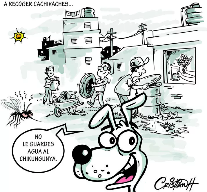 el carrusel de la vida