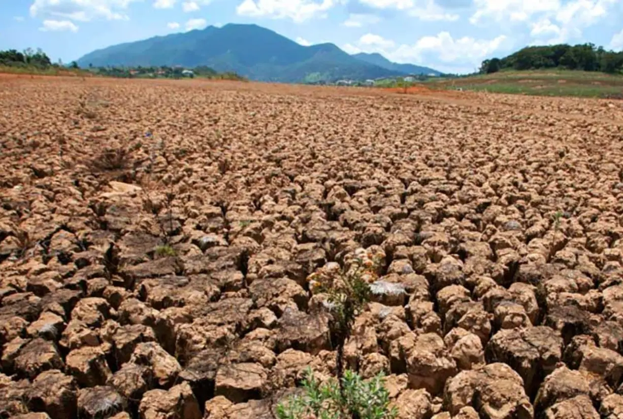 La producción agrícola ha sido afectada en un 12 %  por la  sequía