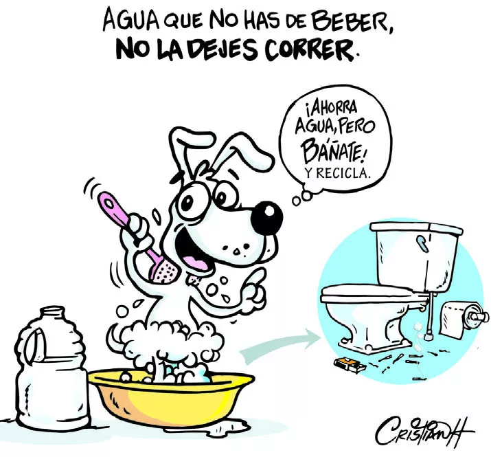 el carrusel de la vida