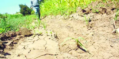 Sequía se intensifica, piden racionar agua