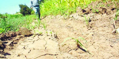 Sequía se intensifica, piden racionar agua