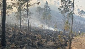 Incendio en Valle Nuevo deja tras sí  pérdidas  ambientales y materiales