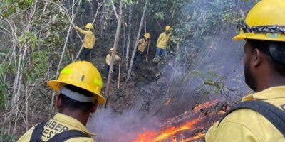 Medio Ambiente reporta 14 fuegos forestales activos en distintos puntos del país