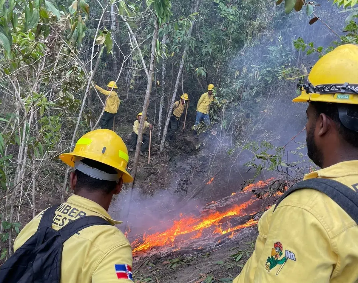 Medio Ambiente reporta 14 fuegos forestales activos en distintos puntos del país