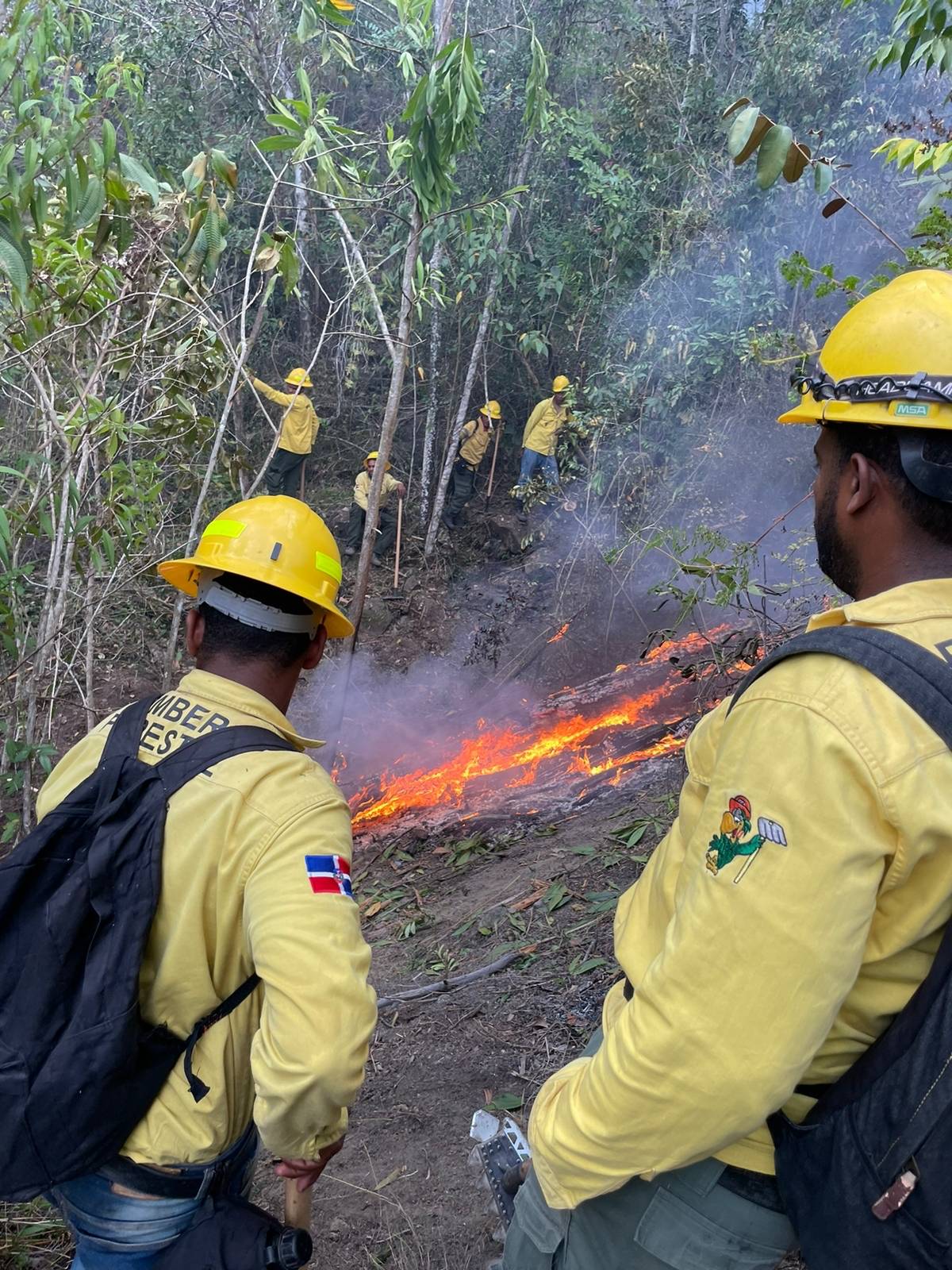 Medio Ambiente reporta 14 fuegos forestales activos en distintos puntos del país