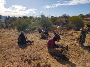 Hallan fósiles de dos marsupiales australianos de 25 millones de años