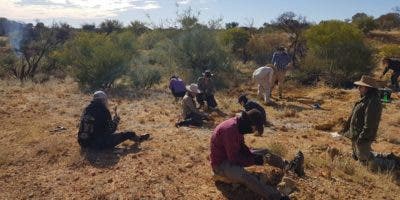 Hallan fósiles de dos marsupiales australianos de 25 millones de años