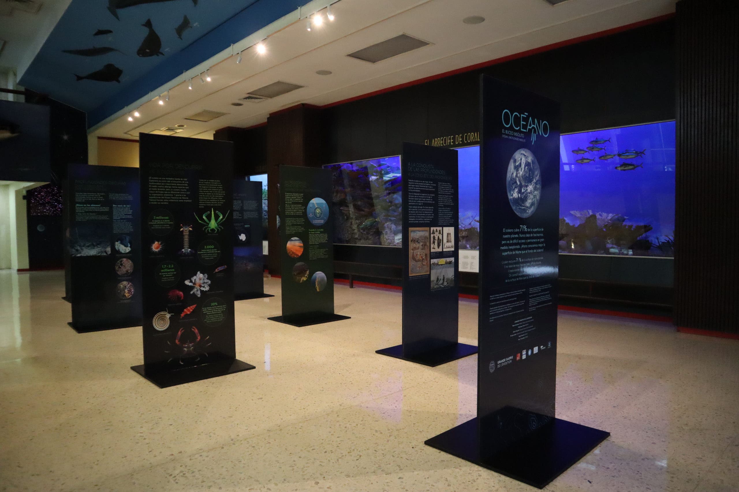 Museo Natural estrena dos exhibiciones temporales auspiciadas por las embajadas de Francia y Alemania