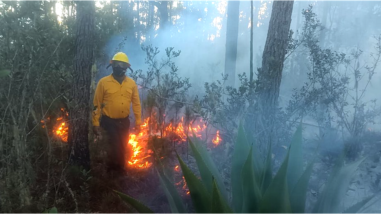 11 incendios forestales están activos en República Dominicana