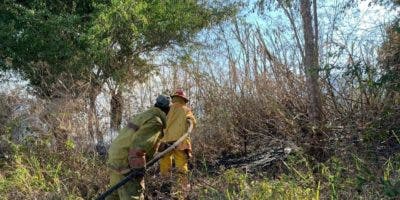 Medio Ambiente informa incendio forestal en Valle Nuevo está controlado