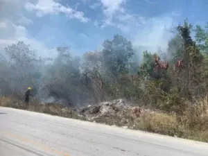 Nueve hombres a prisión por incendio forestal en Punta Cana