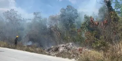 Nueve hombres a prisión por incendio forestal en Punta Cana