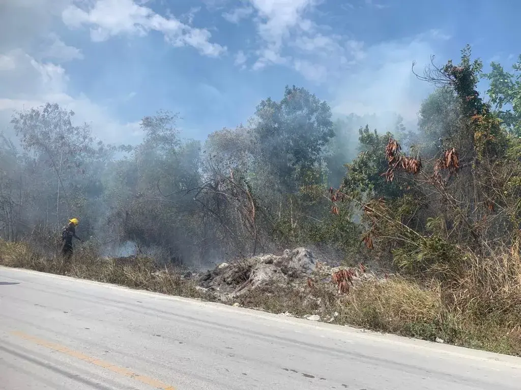 Nueve hombres a prisión por incendio forestal en Punta Cana