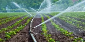 Mitos sobre el agua  y fórmula para retenerla