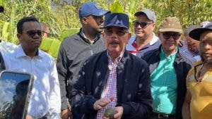 PLD afirma desatención y descuido del Gobierno afectan producción agrícola