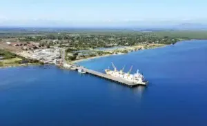 Academia de Ciencias le preocupa algunas plantas proyecto eléctrico de Manzanillo se construirán en Parque Nacional Estero Balsa