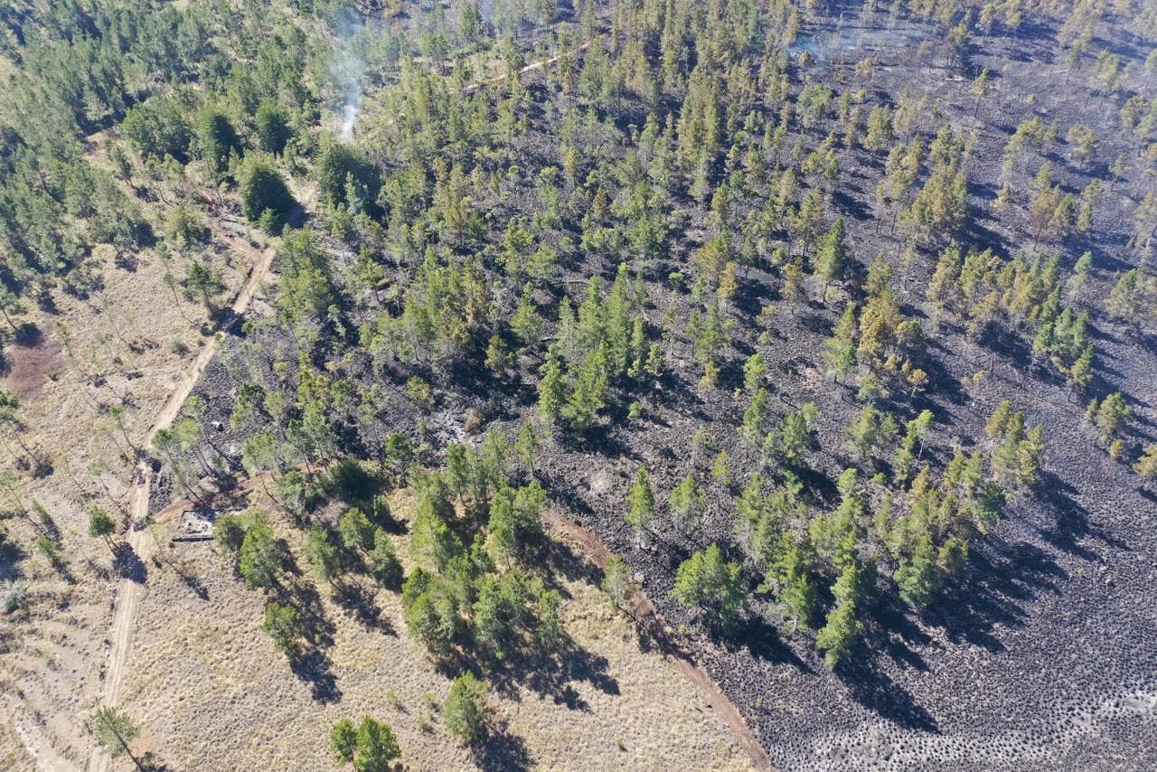 Medio Ambiente confirma fuego forestal en Valle Nuevo está eliminado
