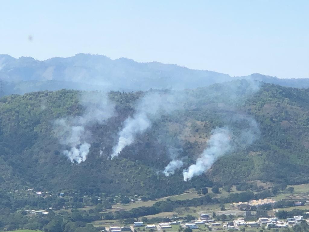 Gobierno afirma incendio forestal en Valle Nuevo está controlado