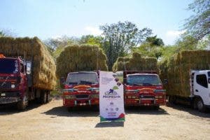 Gobierno entrega pacas de pasto y agua a ganaderos afectados por sequía