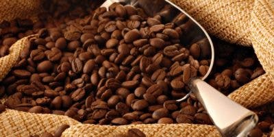Las exportaciones de café suben 67 %