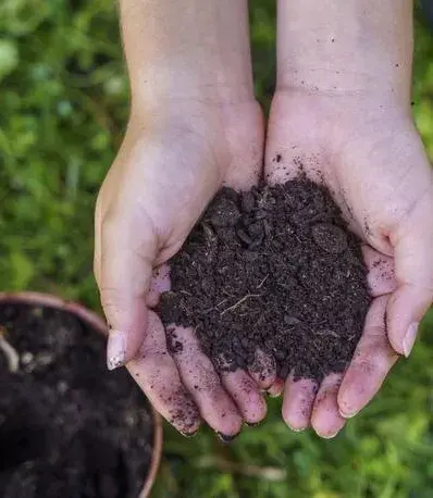 Subsidio fertilizantes finaliza en abril