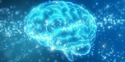 Qué es la misteriosa «zona incierta» del cerebro (y qué pistas ofrece un nueva investigación sobre ella)