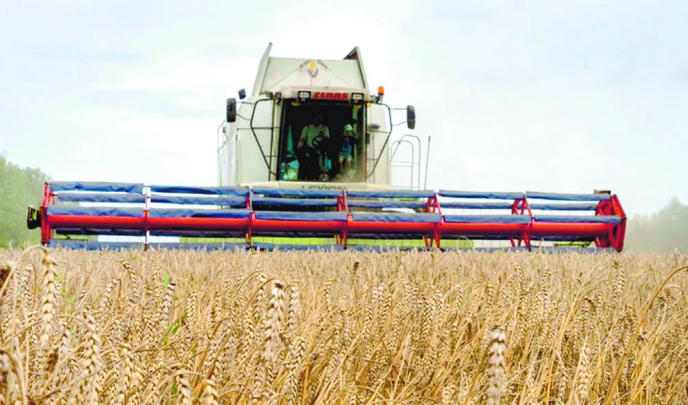 Veto a cereales de Ucrania se expande por la Unión Europea