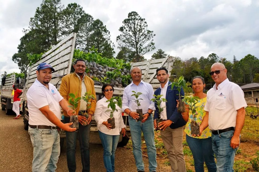 Agricultura afirma producción de café ha aumentado un 50%