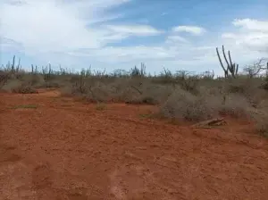 Medio Ambiente: caso Bucanyé está en la Procuraduría hace un año