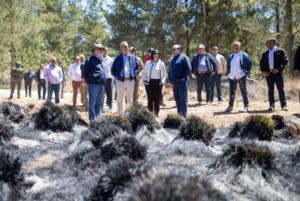 Abinader visita Valle Nuevo para conocer programa de restauración área afectada por incendio