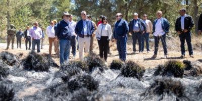 Abinader visita Valle Nuevo para conocer programa de restauración área afectada por incendio