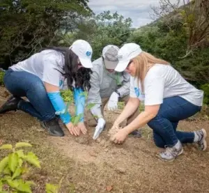 Grupo Ramos con jornada  reforestación