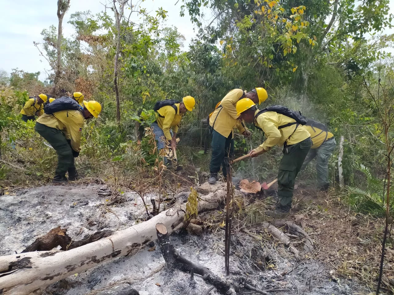 Medio Ambiente identifica responsables de crear algunos incendios en zonas de RD