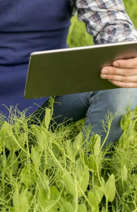 Tecnología, aliada de los agronegocios