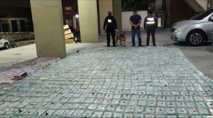 Detectan en Ecuador una tonelada de cocaína en otro cargamento de banano