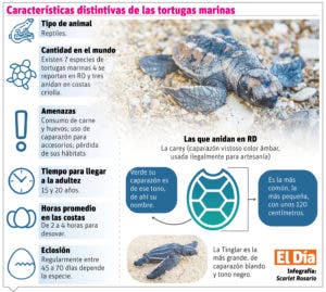 Tortugas marinas, muy leales a sus lugares de origen