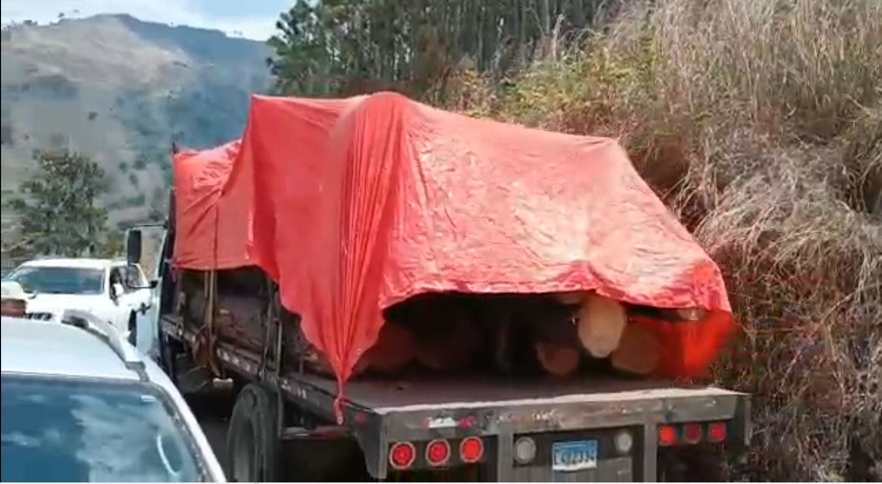 Técnicos medioambientales denuncian depredación de bosques en la Cordillera Central