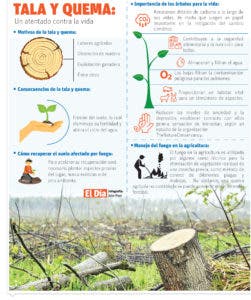 Los métodos alternativos a la quema para preparación del terreno agrícola