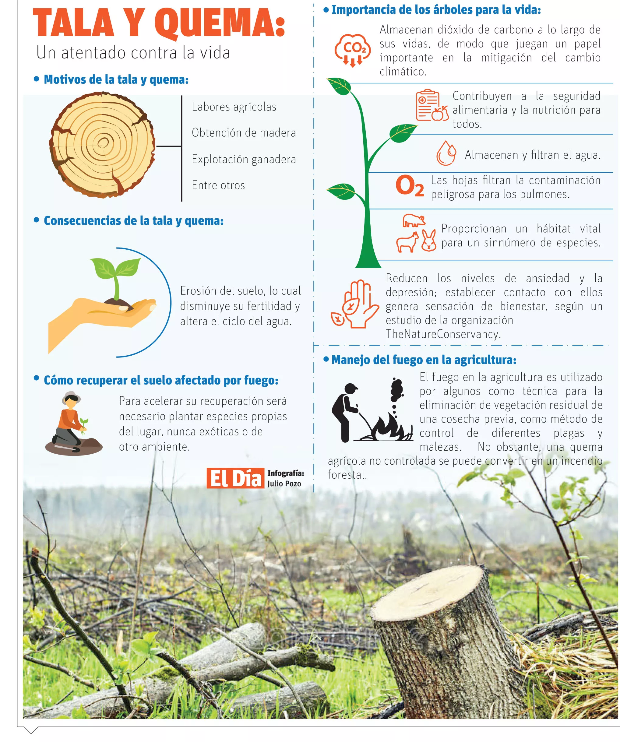 Los métodos alternativos a la quema para preparación del terreno agrícola