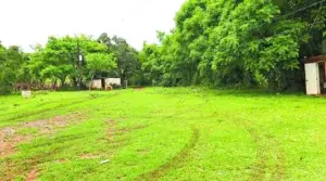 Ecoturismo Pedro Brand podría verse amenazado por planta de reciclaje