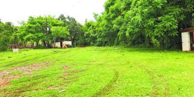 Ecoturismo Pedro Brand podría verse amenazado por planta de reciclaje