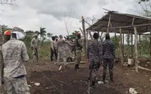 Más de 100 arrestados por daños Los Haitises