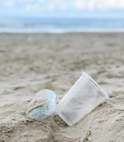 Foam y plásticos de un uso, prohibidos Saona