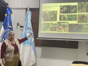 Plantas endémicas de República Dominicana en peligro de extinción