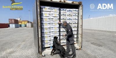Incautan en Italia 2.734 kilos de cocaína en contenedores procedentes de Ecuador