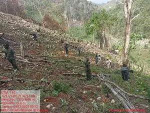 Medio Ambiente arresta al menos 50 personas en Los Haitises, remueve cultivos y destruye casuchas