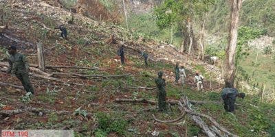 Medio Ambiente arresta al menos 50 personas en Los Haitises, remueve cultivos y destruye casuchas