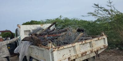 Medio Ambiente inicia derribo de alambradas ilegales dentro de las Dunas de Baní