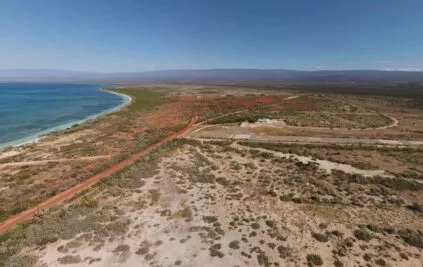 Aeropuerto Cabo Rojo, Pedernales, con licencia