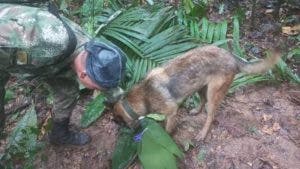 Qué se sabe de los 4 niños desaparecidos tras un accidente aéreo en la selva colombiana en el que murieron todos los adultos